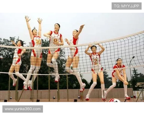 北京排球队的拼搏历程与冠军赛背后的奋斗故事